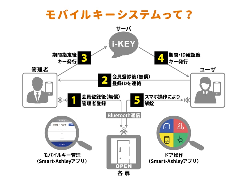 Smart-Ashley +F